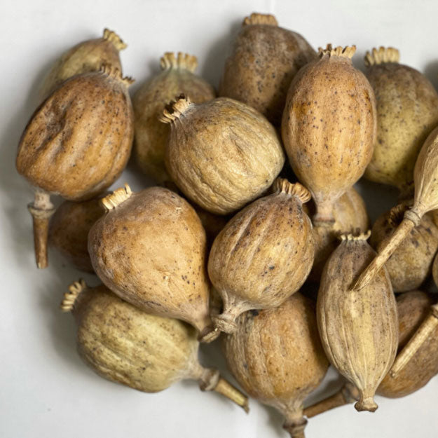 Poppy Heads 2025 harvest 4kgs