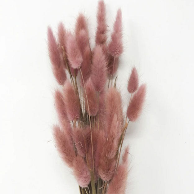 Natural Pink/Dried Flowers