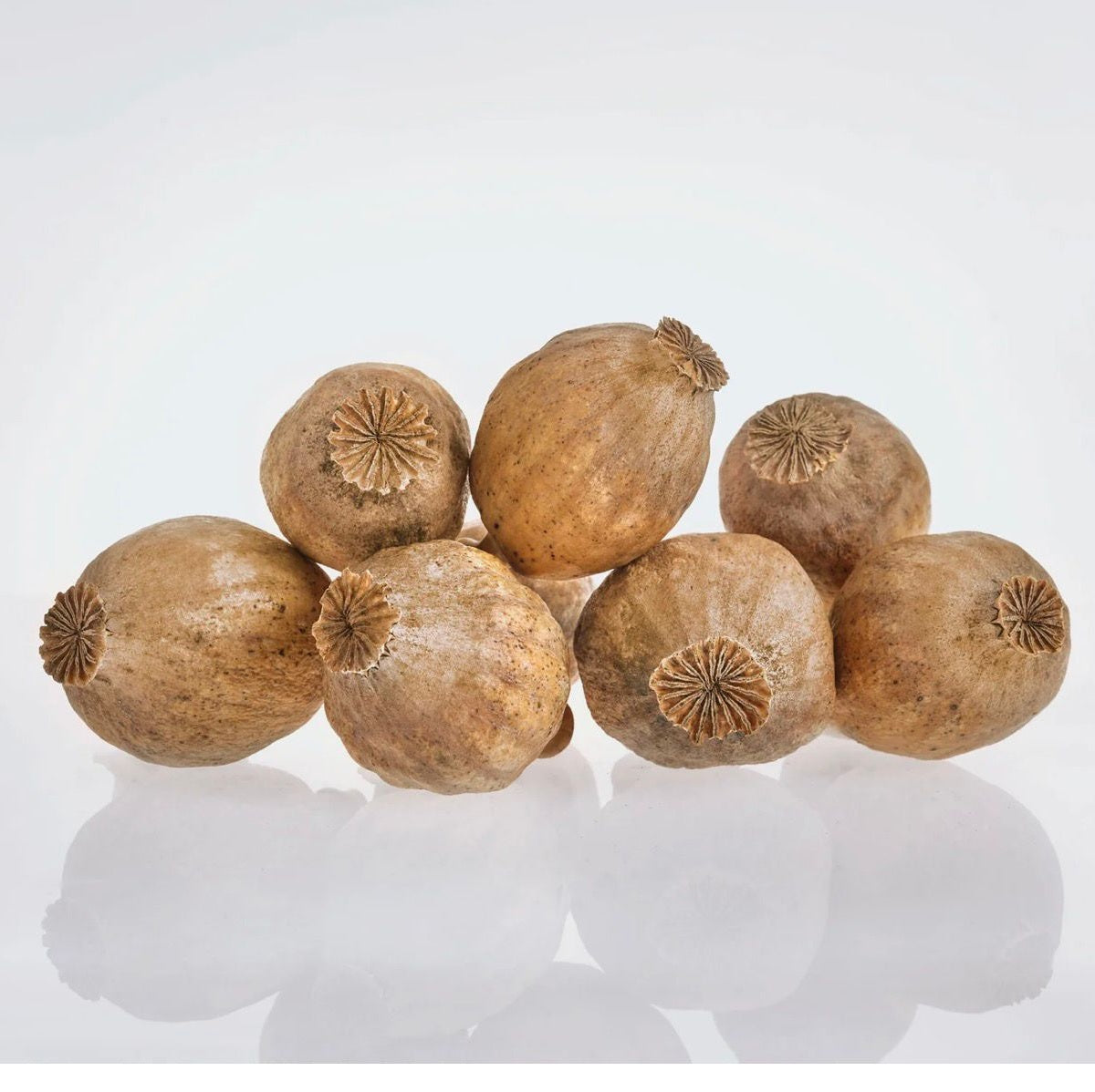 Austria white bags 850gms